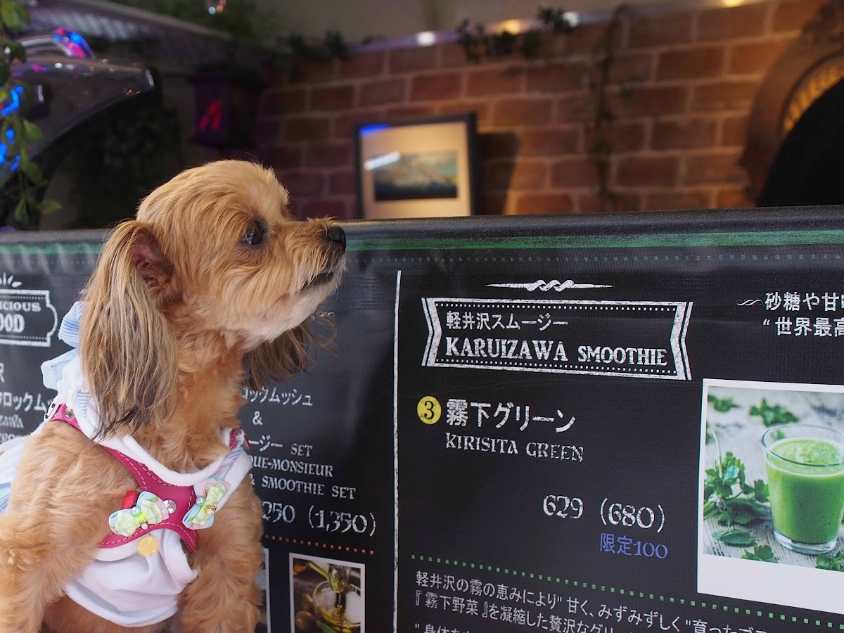 フォグシー 軽井沢