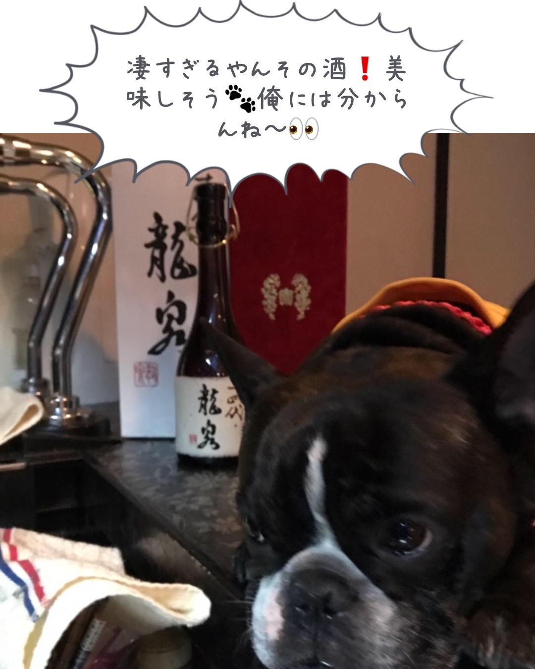 chacha