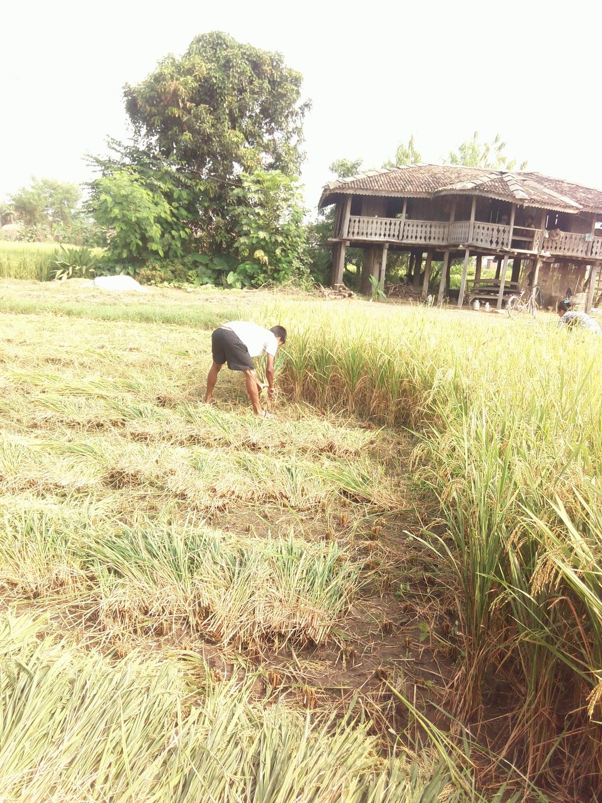 Kaberi Hotel and Meat House