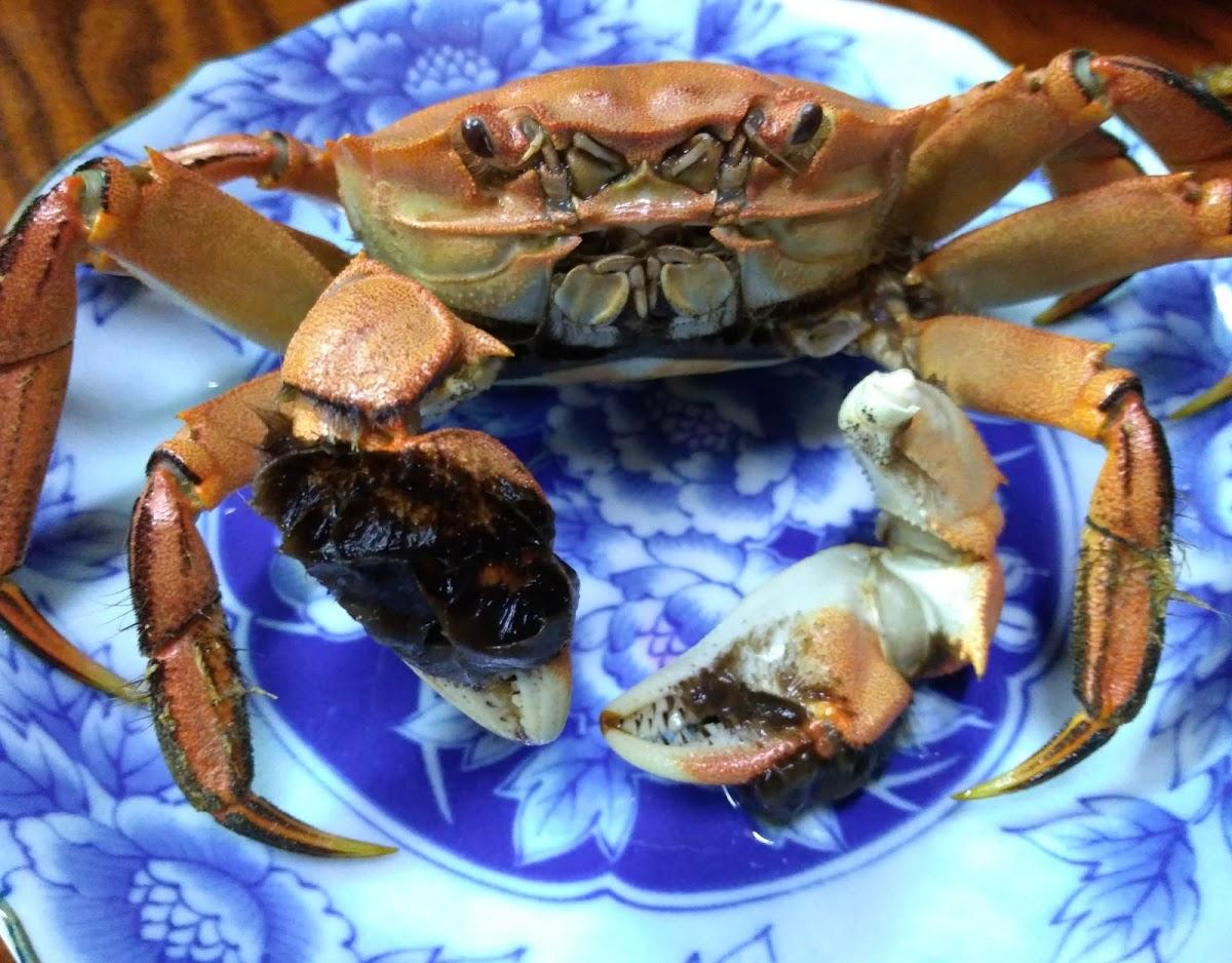 やよい食堂