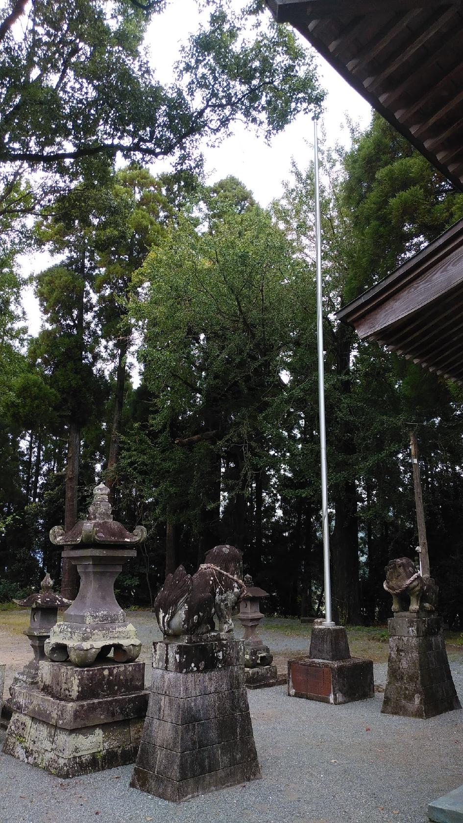 宇城寿し