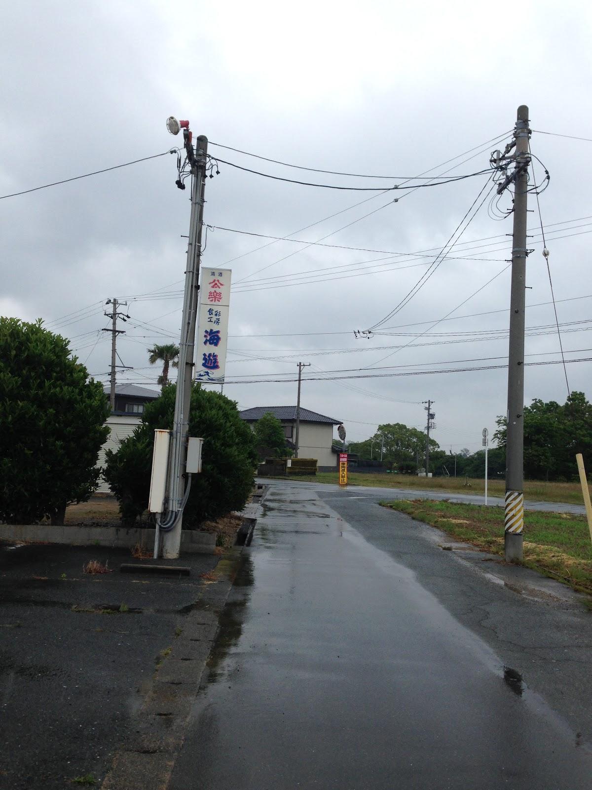 海遊