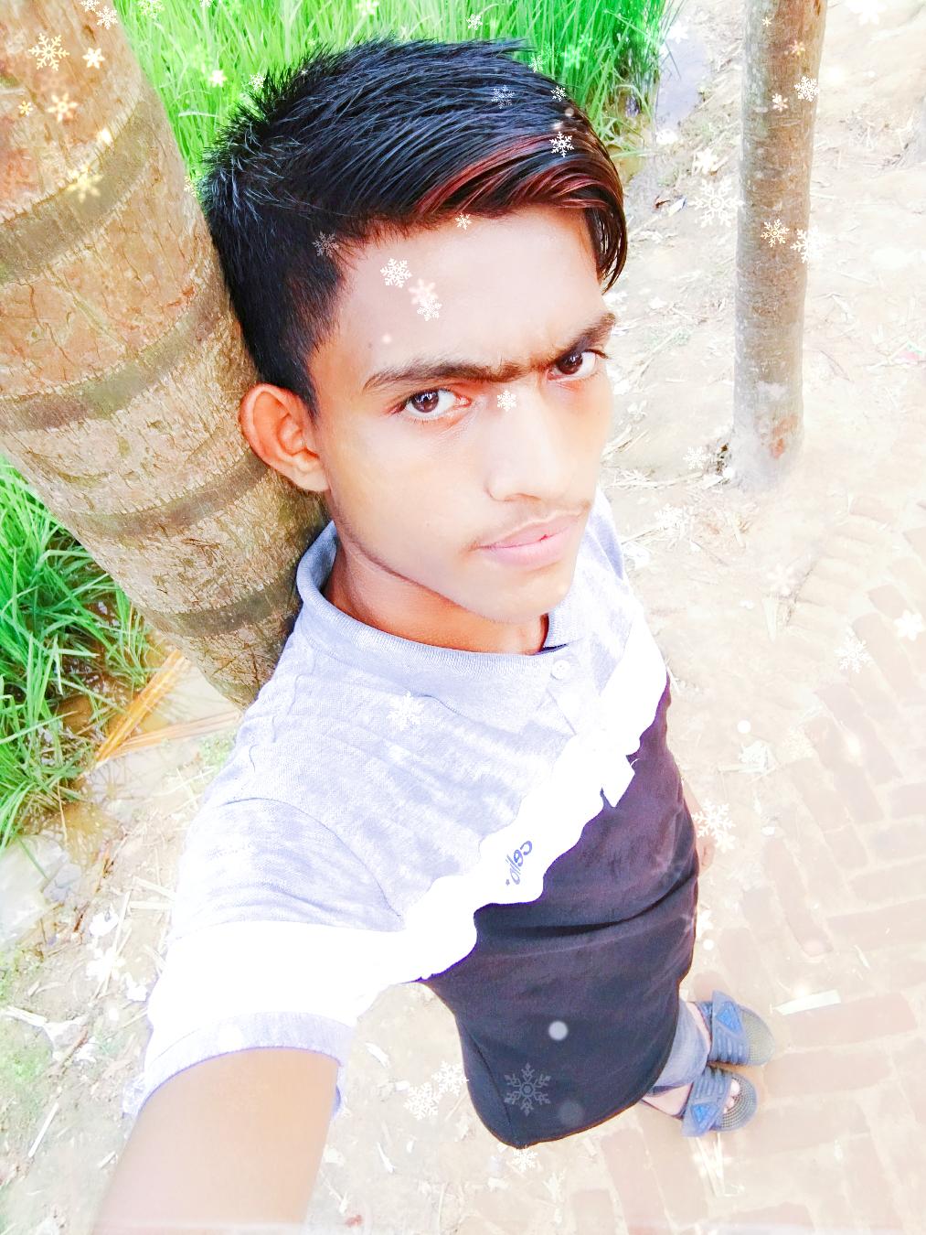 নিউ মেহমান হোটেল