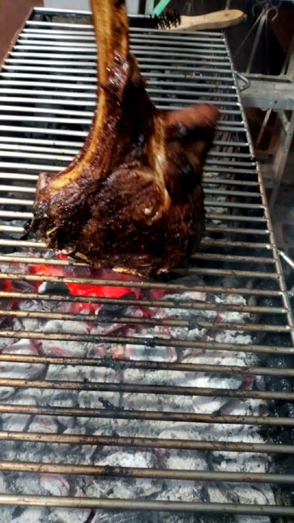El Portal Carbonero
