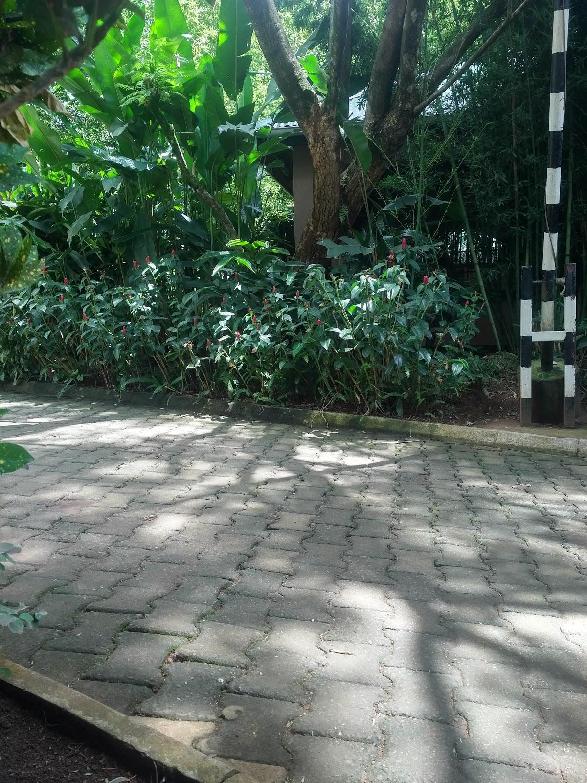 Ssempogo Restaurant And Outside Catering