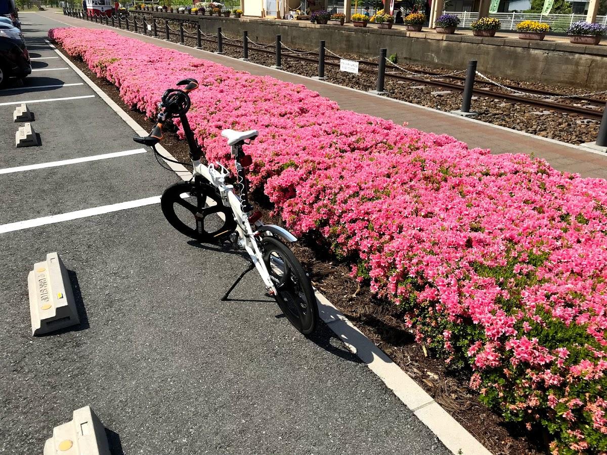 トコロジューキ（株）