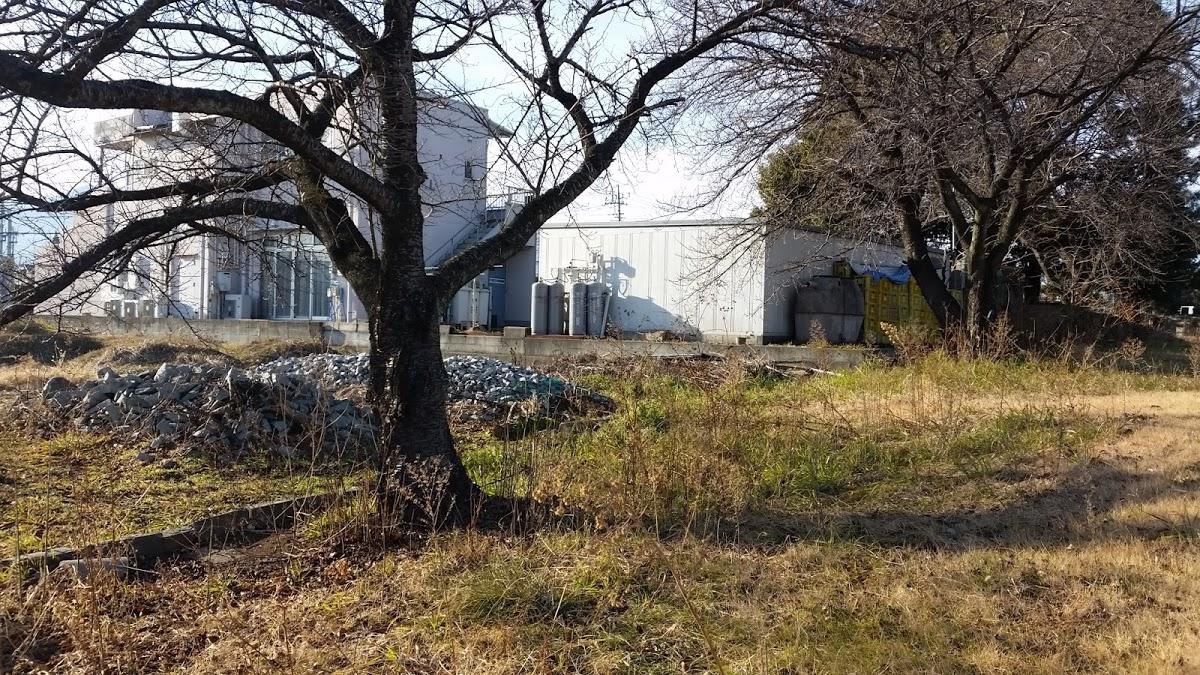 中部日本開発