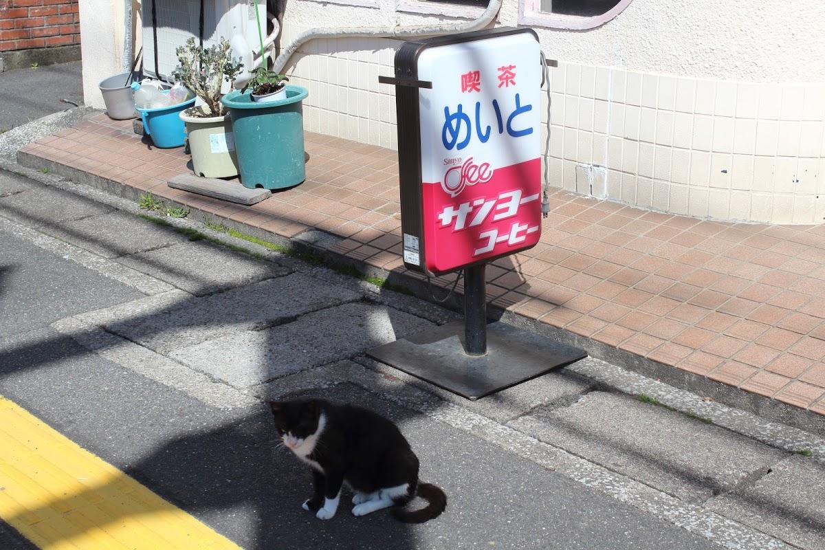 めいと