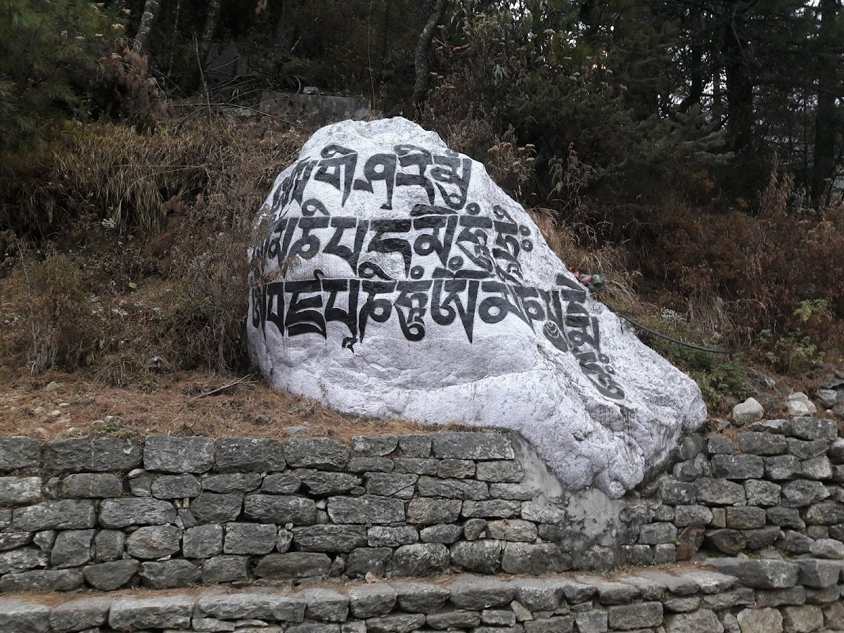 New Sherpa Restaurant