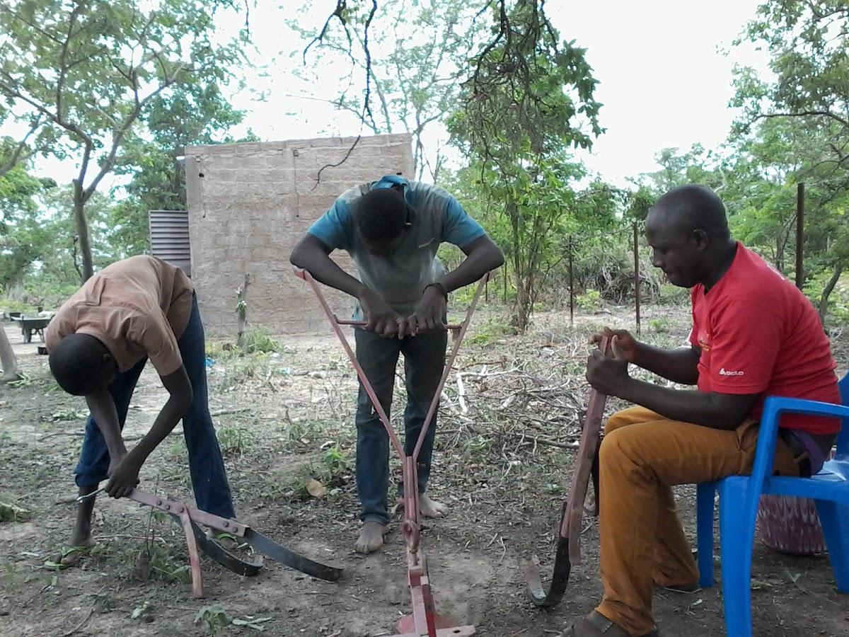 Issaabi Dimas