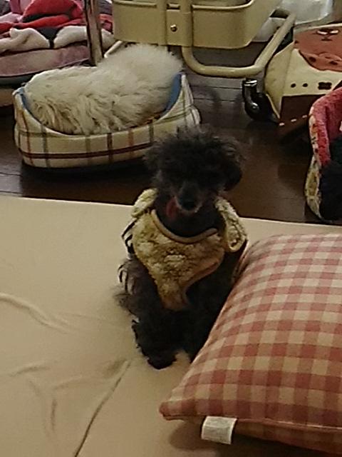 アバンチュール