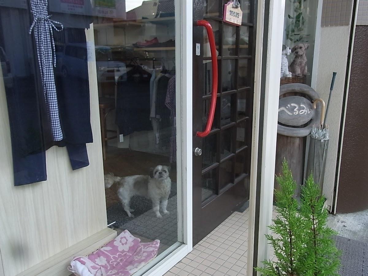 べるみぃ