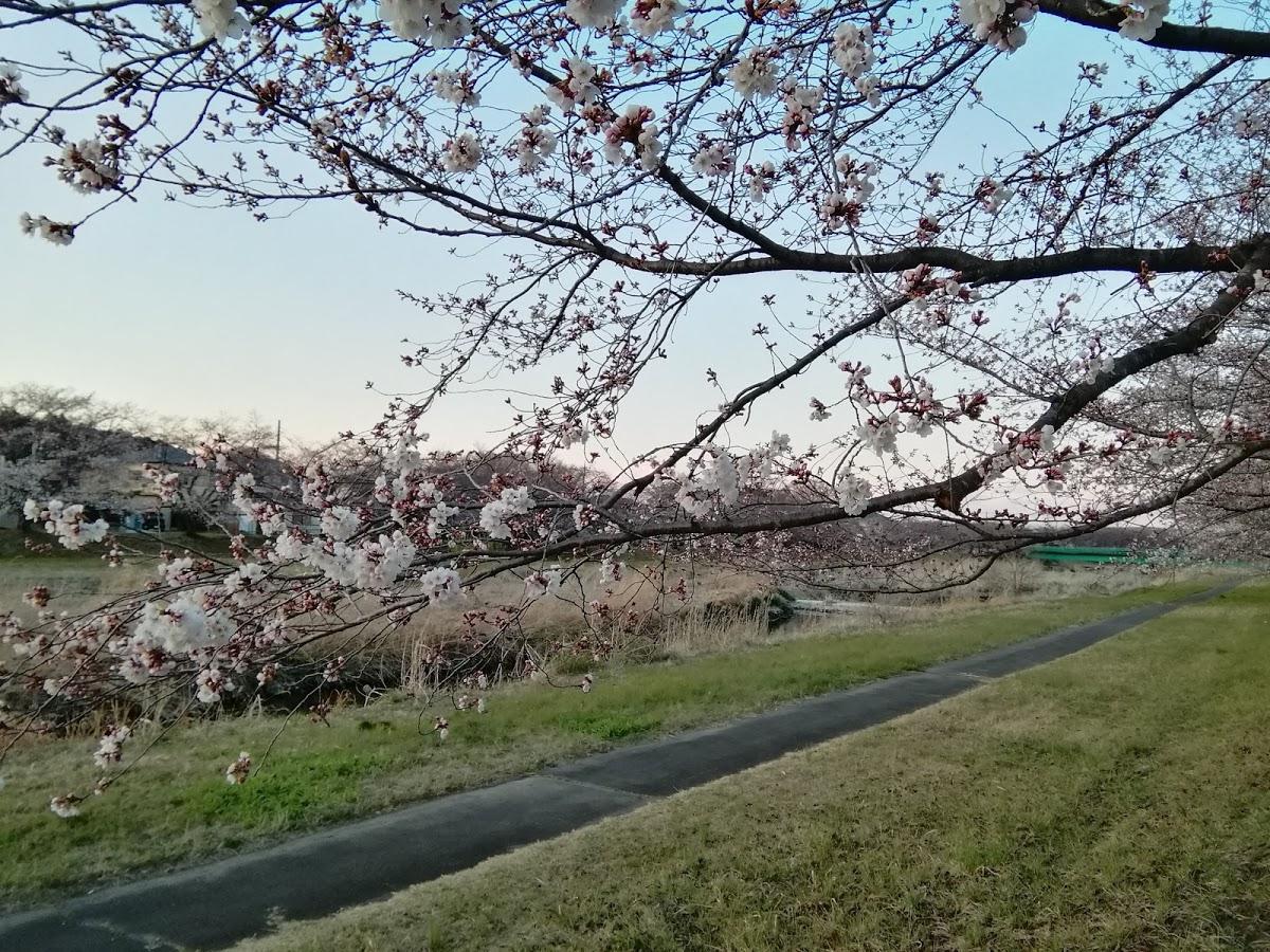 まるいち