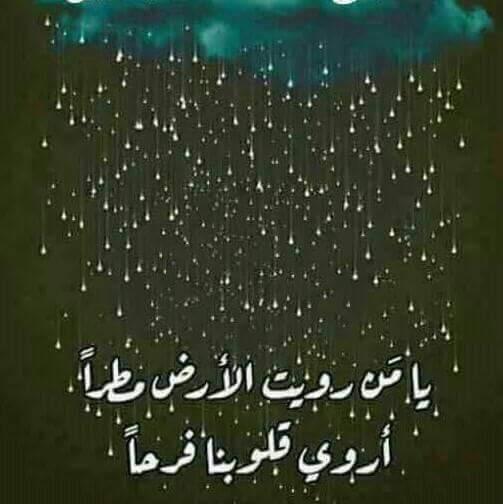Twins_alriffa