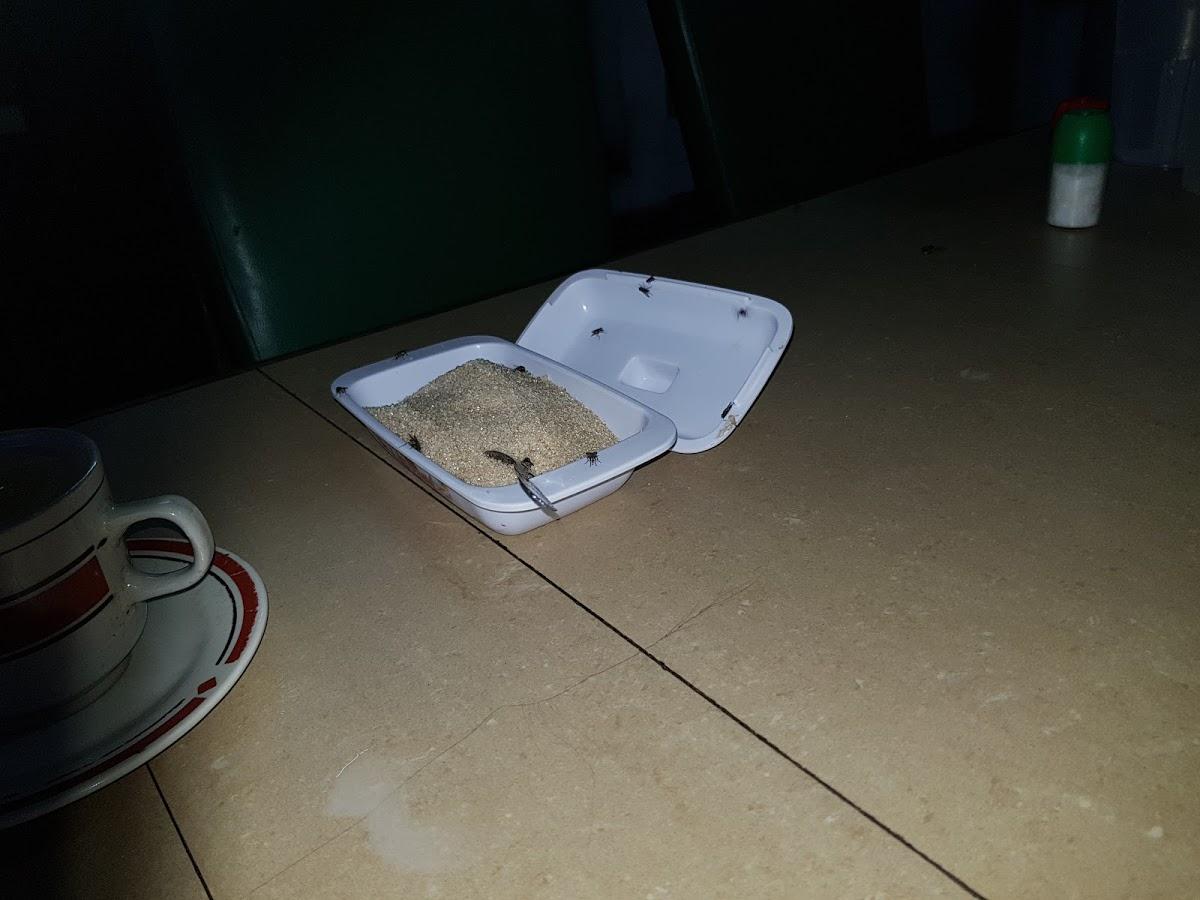 Biham Cyber Cafe