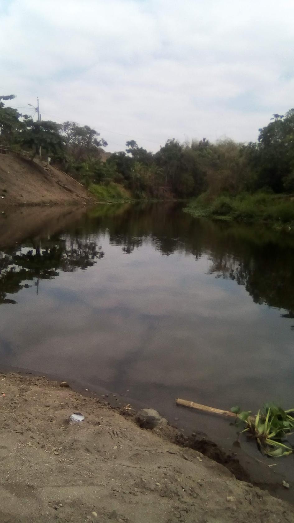 Comida tipica la Guanta