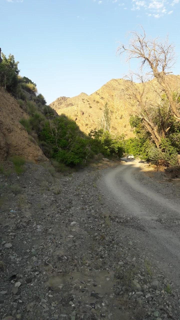 Tanoori