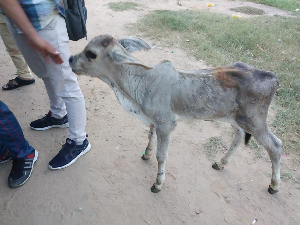 Khushi Hotel & Restaurant