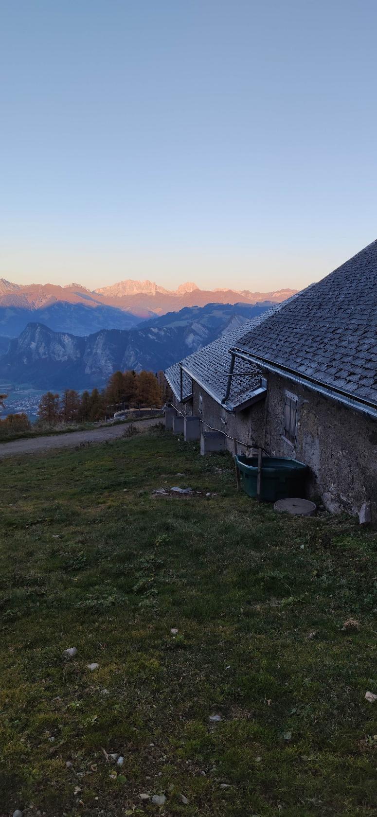 Hintere Alp Untervaz