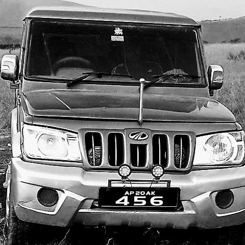 Ammaji Special Bamboo Chicken Restaurant