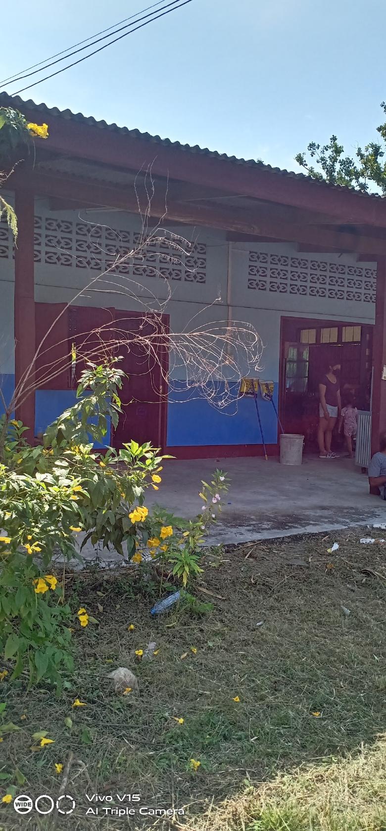 ร้านสามใบเถา