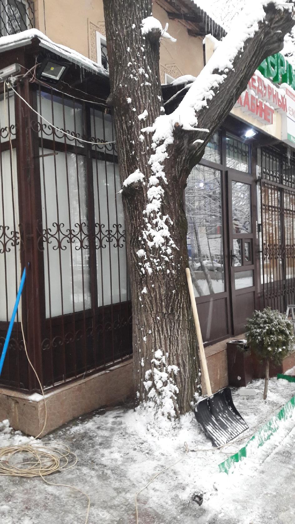 Chez Vinni