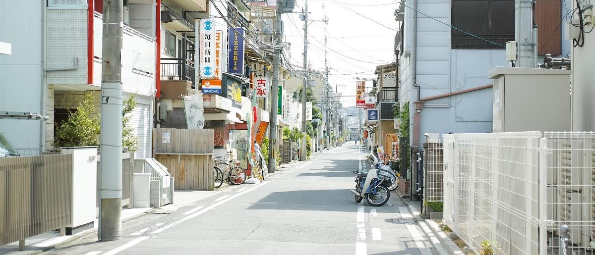 たぬき