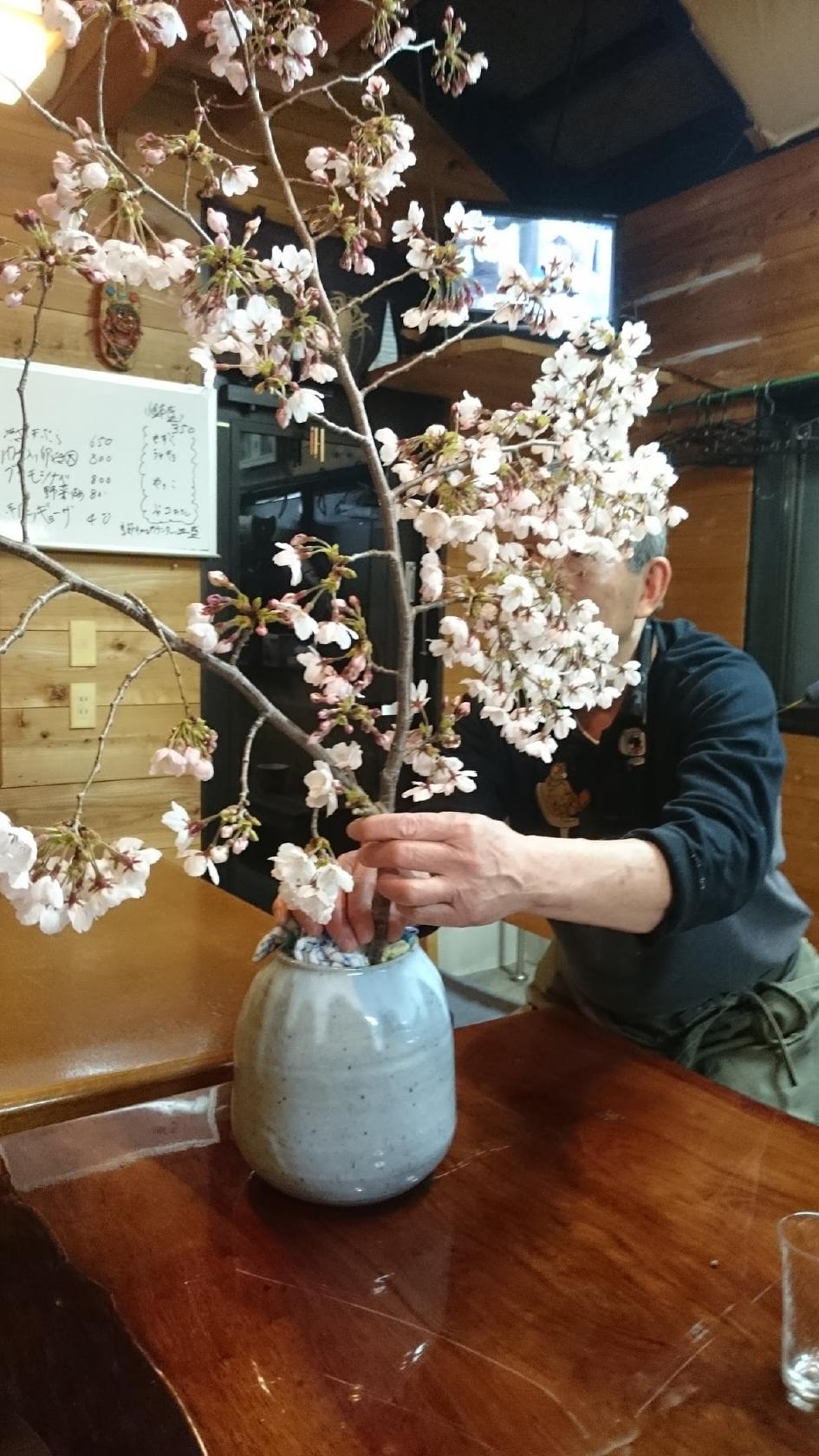 山草