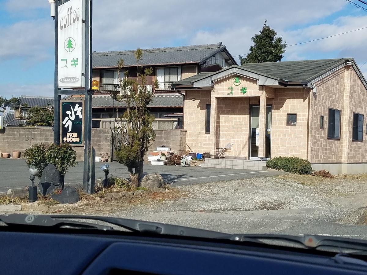 スギ