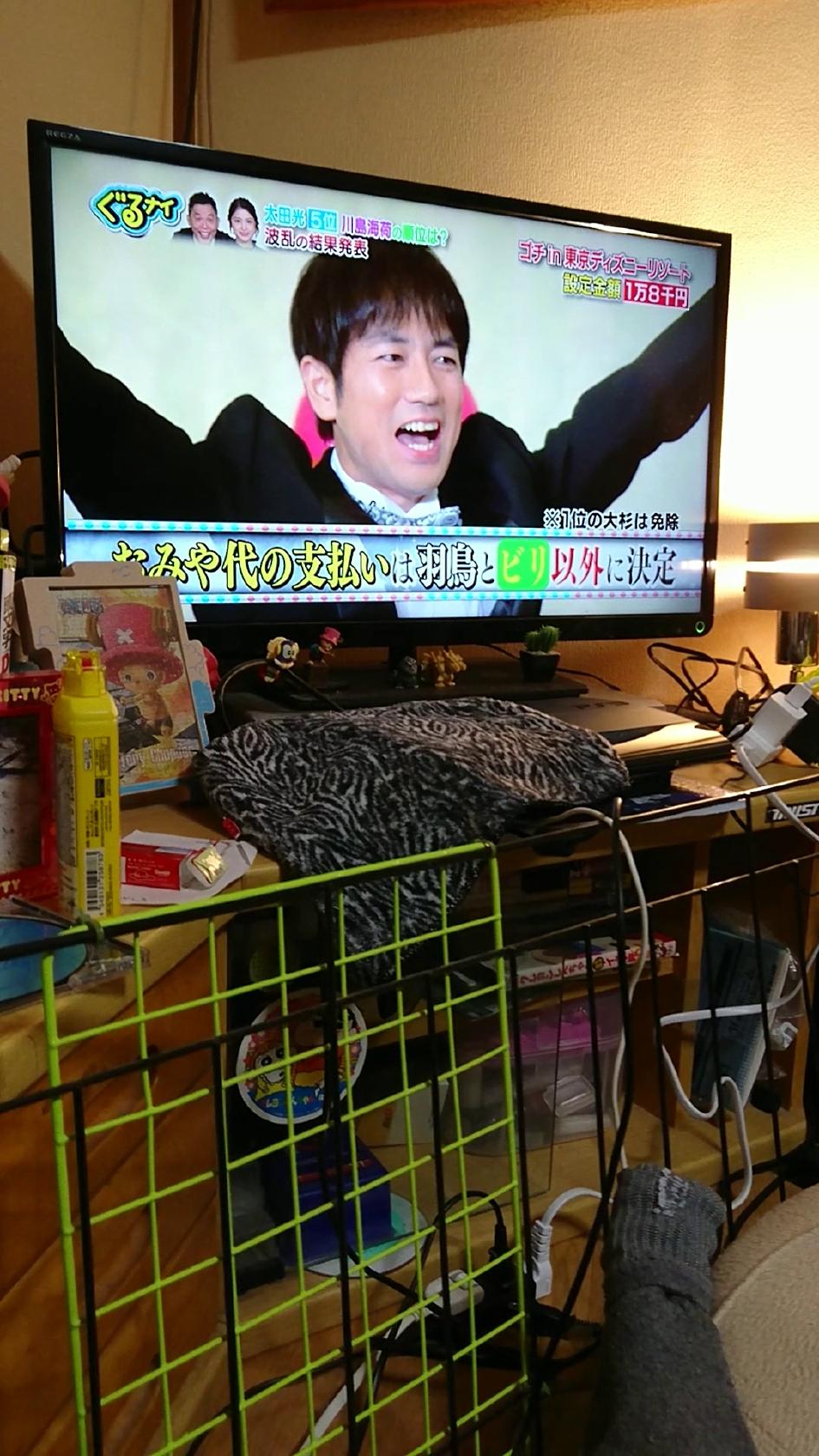 Shun