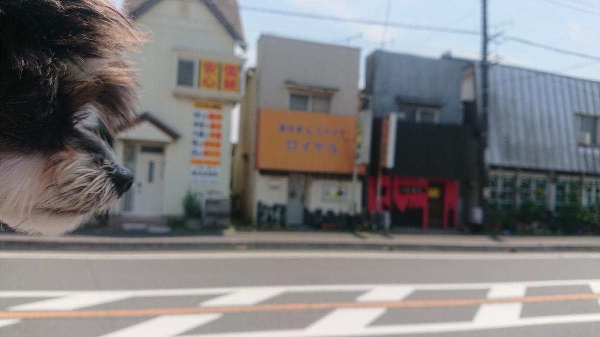 けやき