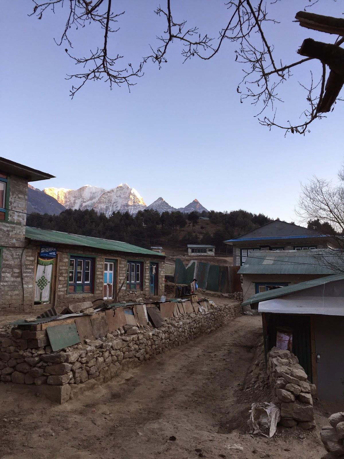 Alisha Regmi Hotel And Restaurant