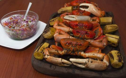 Rincon del Toqui