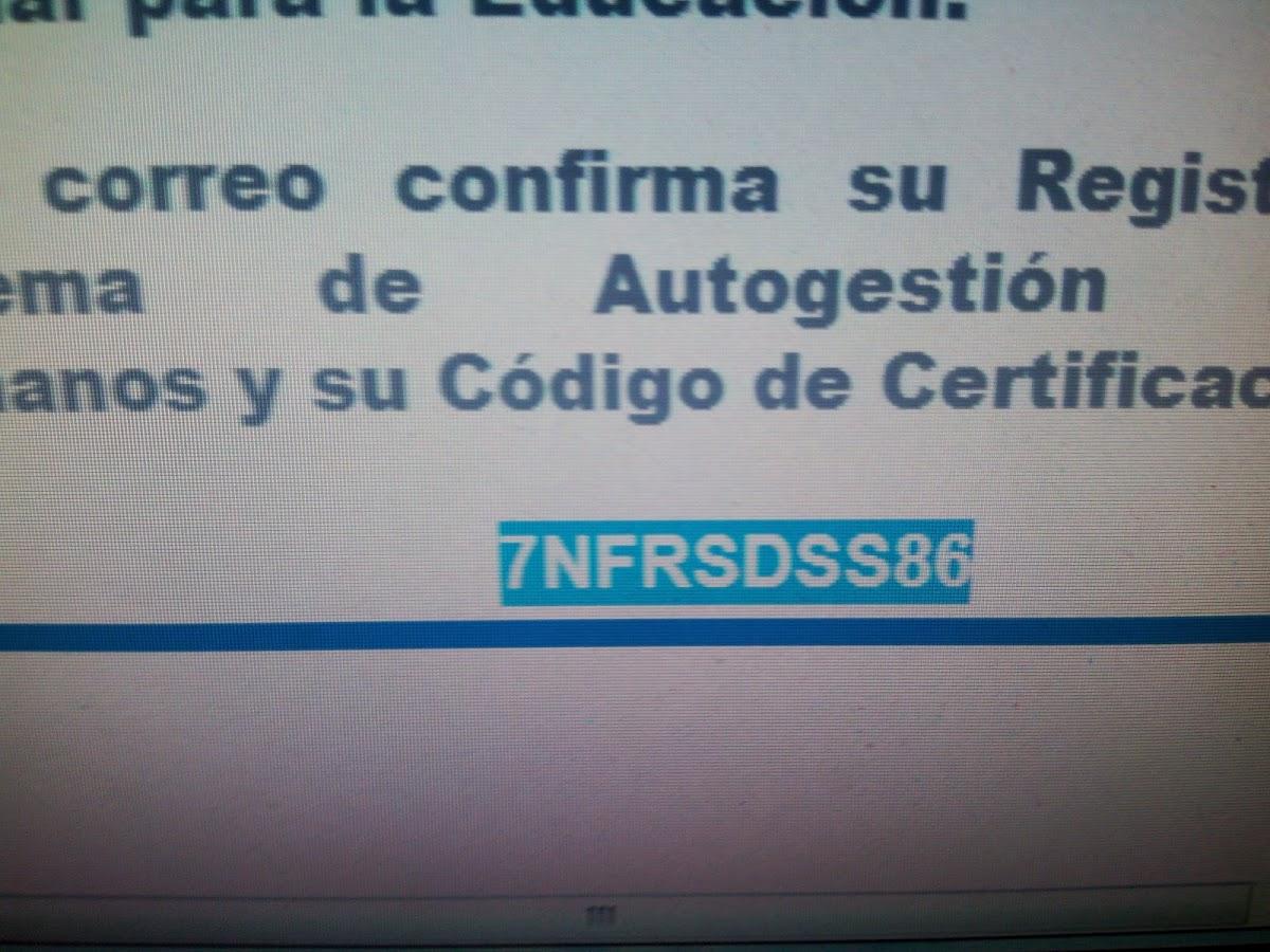 Broaster Lugo