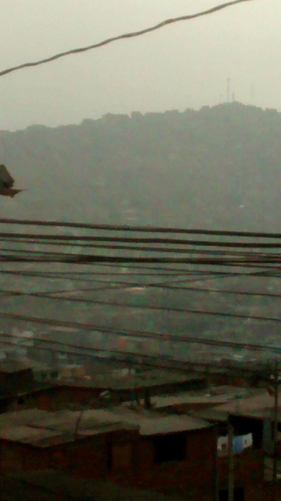 El Feo Chile