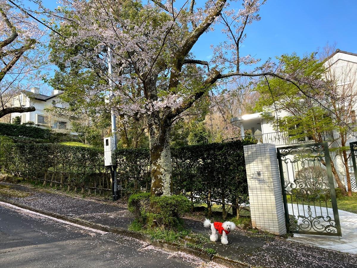 Hideaki 別邸