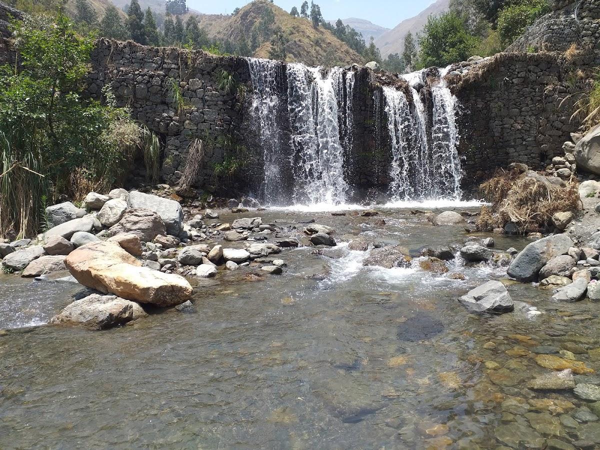 Local "Los Alisos"