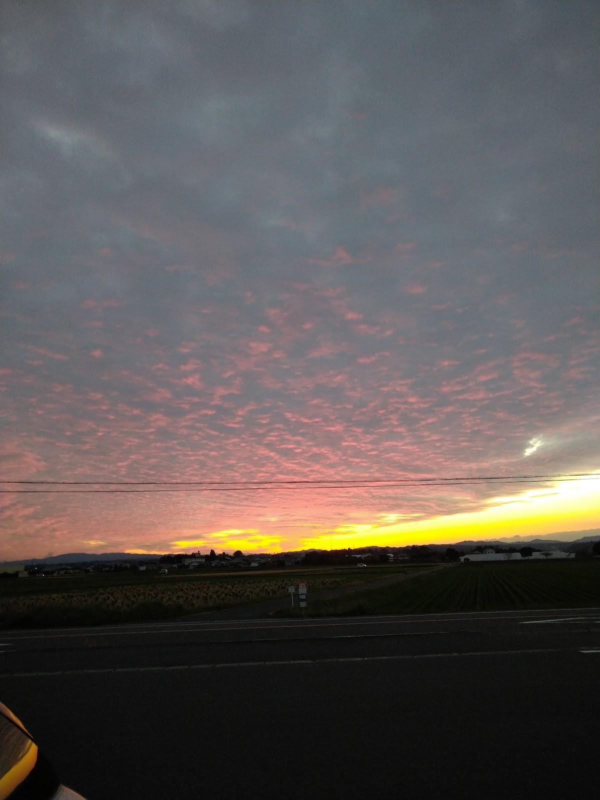 スナック 花むらさき