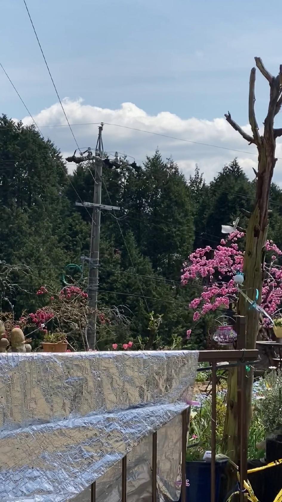 えがお