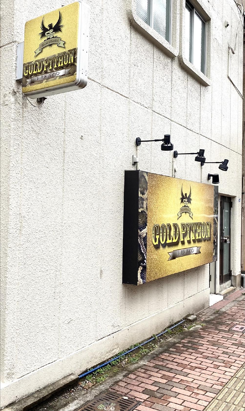 ゴールドパイソン GOLD PYTHON