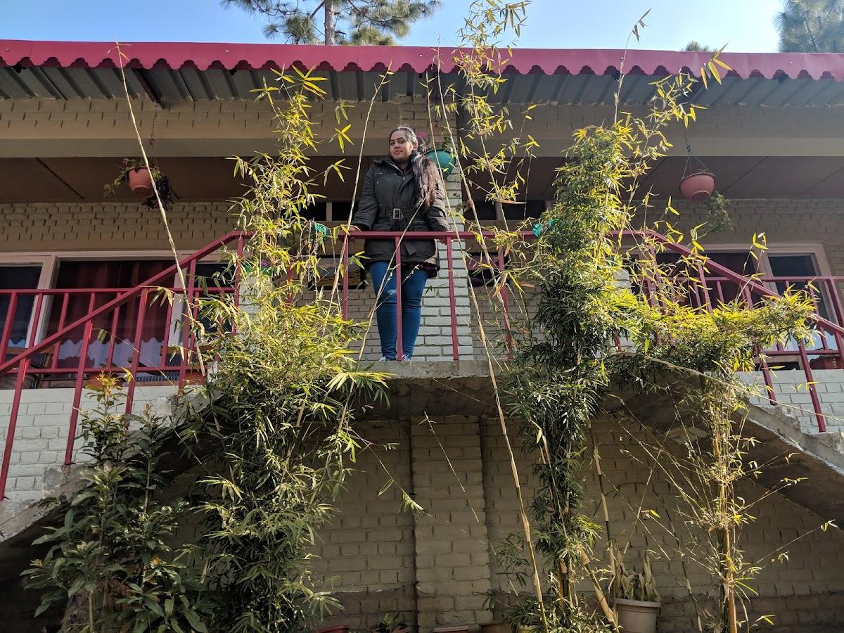 Himalayan Eco Lodges Majkhali Woods