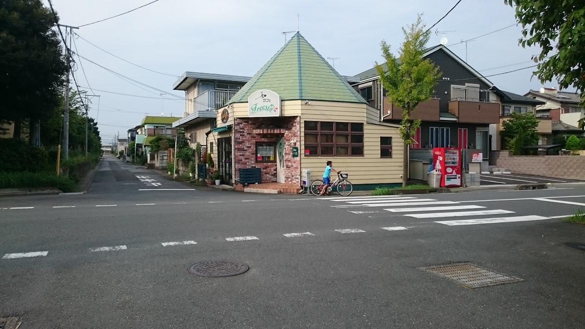 フリージア