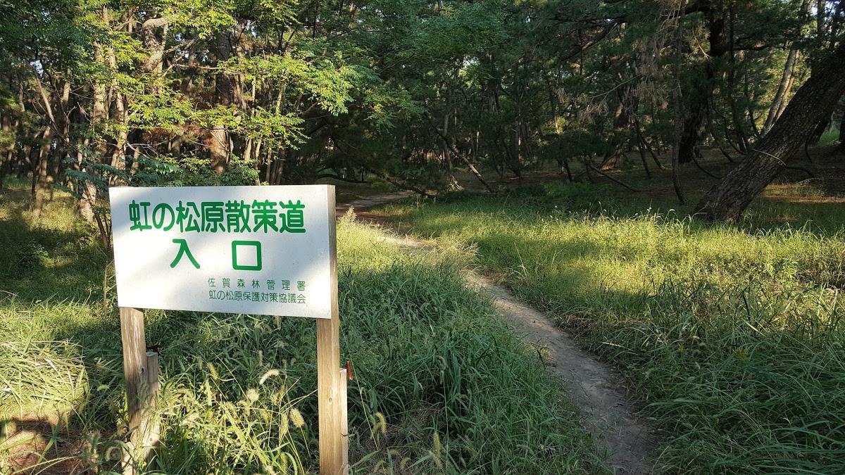 虹