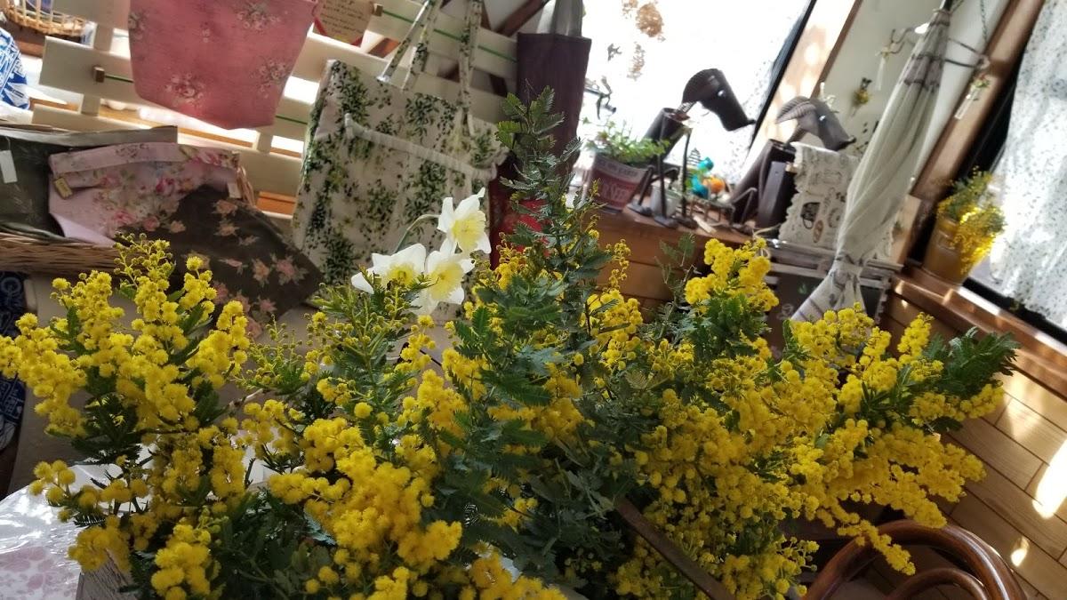 Cafe LALA