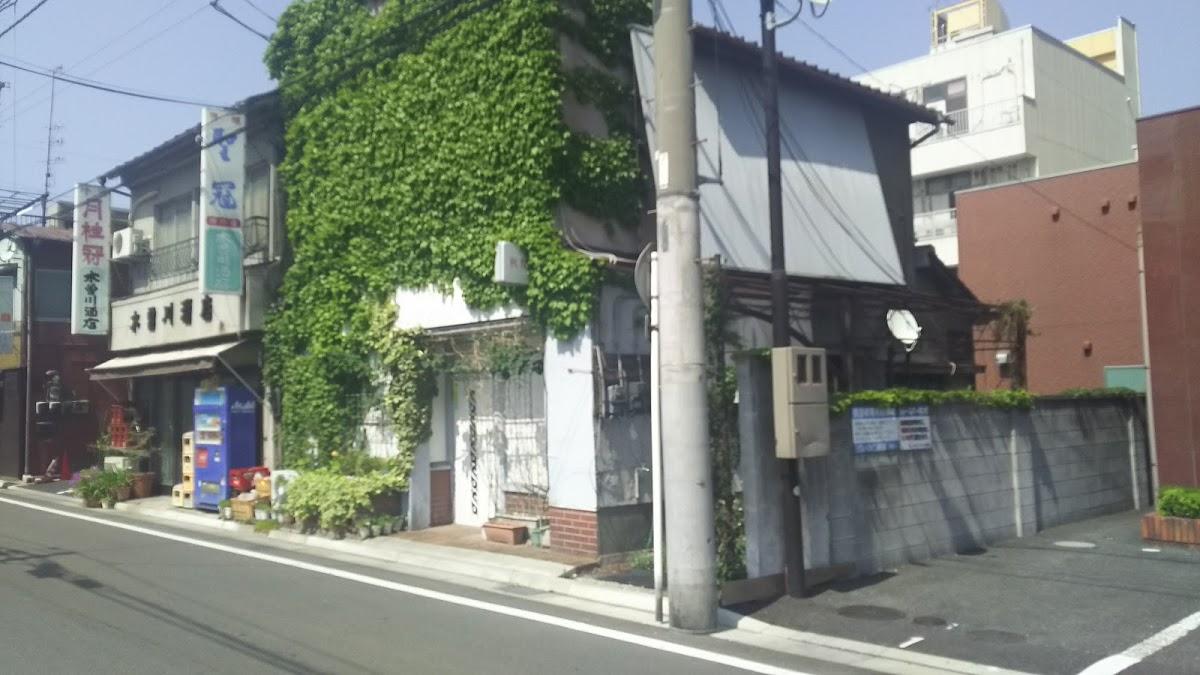 秋桜