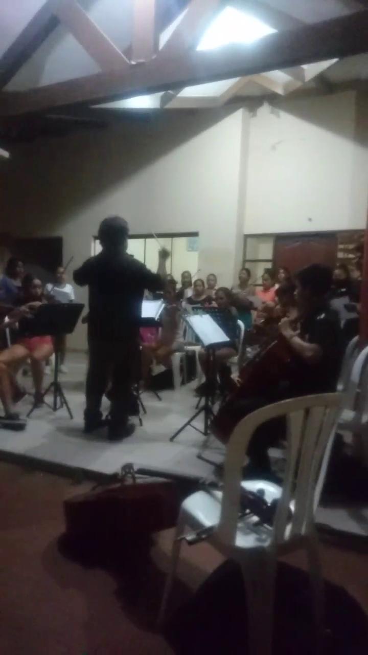 Pollos al PASO
