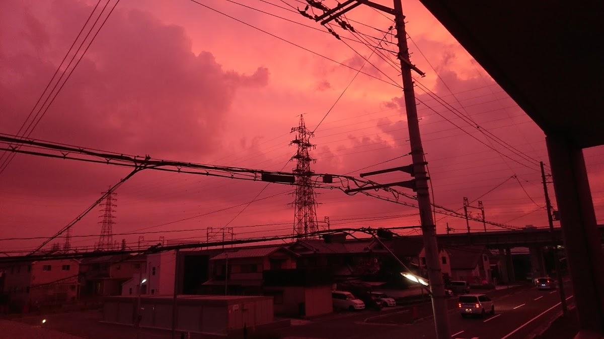 國政