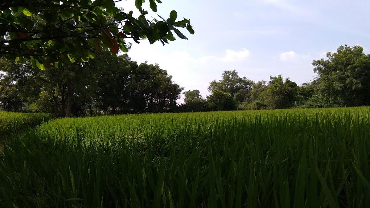 New Spice Family Dhaba