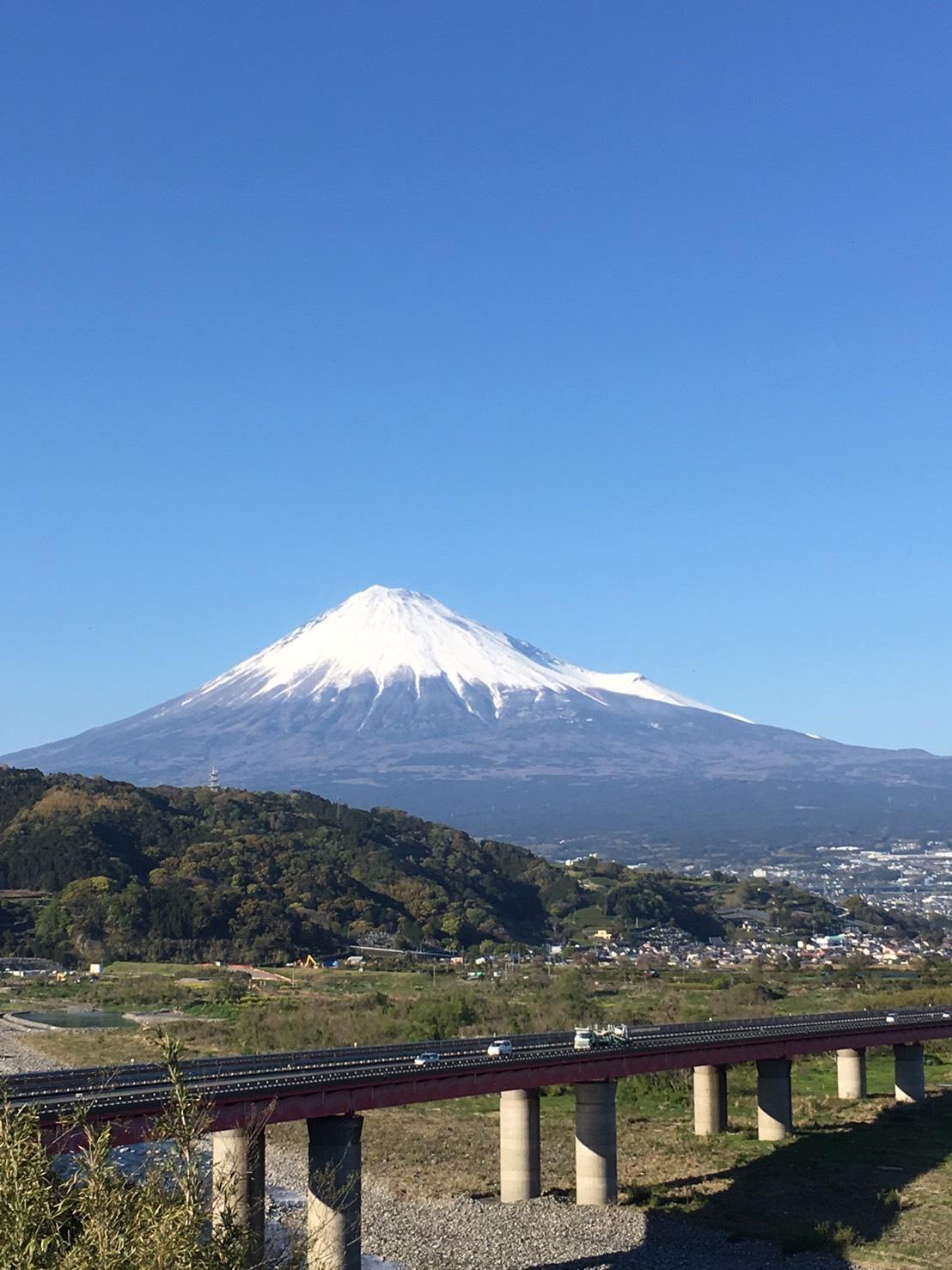 ひまわり