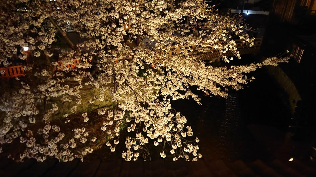 月あかり